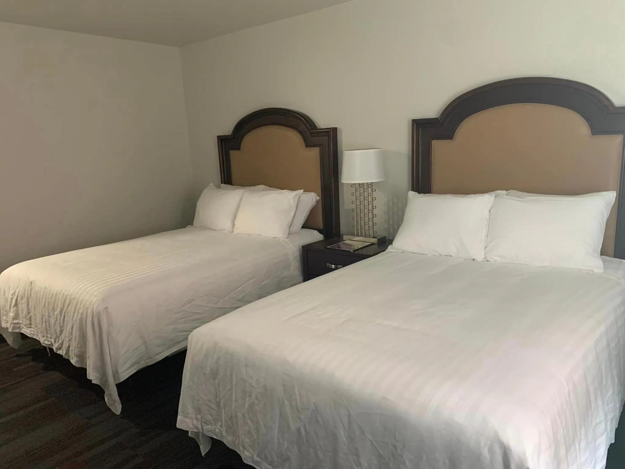 Photo of the whole room, Bed in Elker Inn & Suites