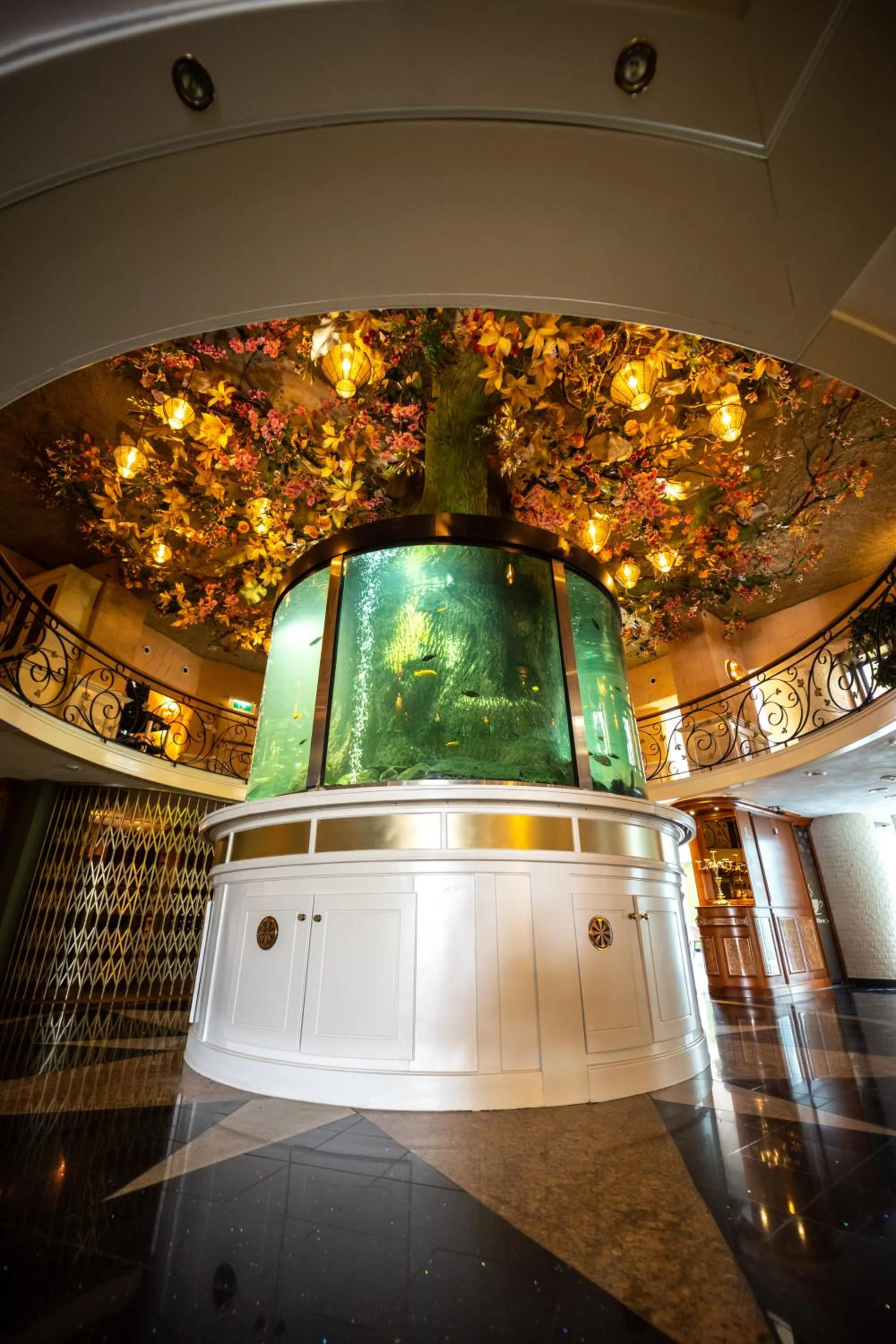 Lobby or reception in Hotel & Restaurant Infinity