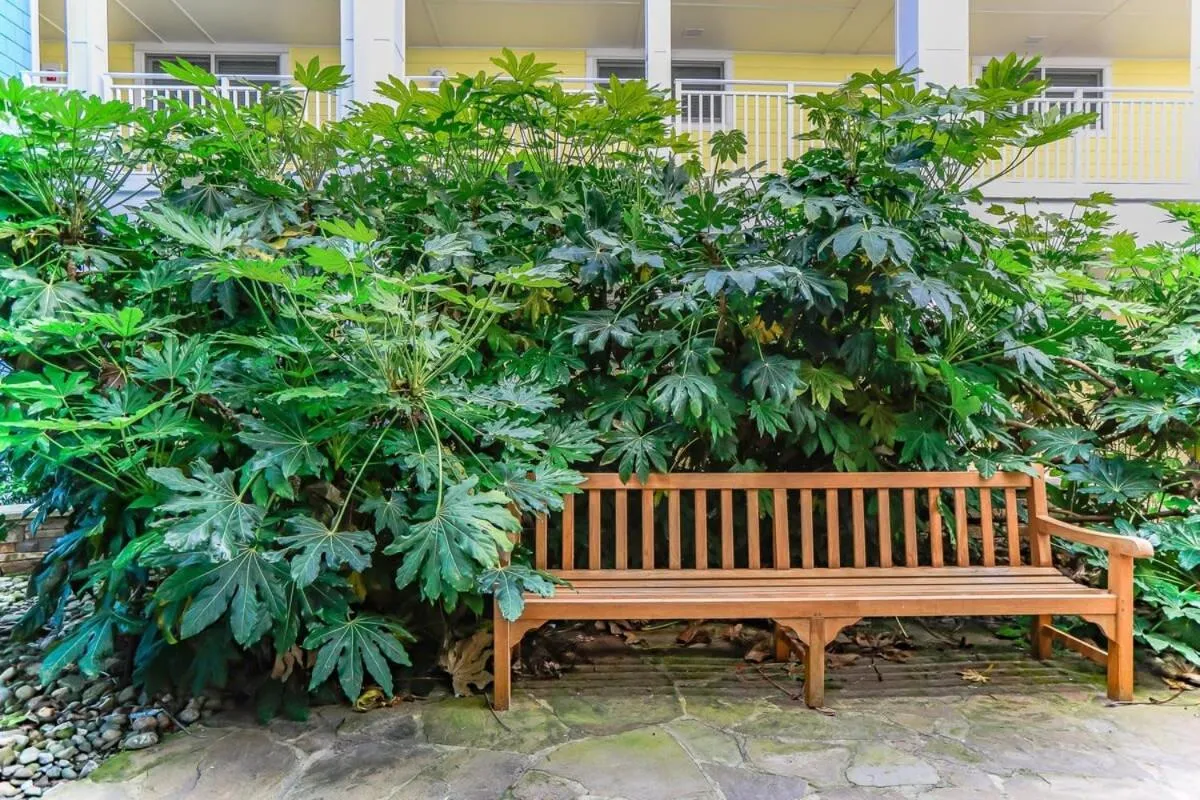 Sojourn Sanctuary Seaside Escape 3 BR