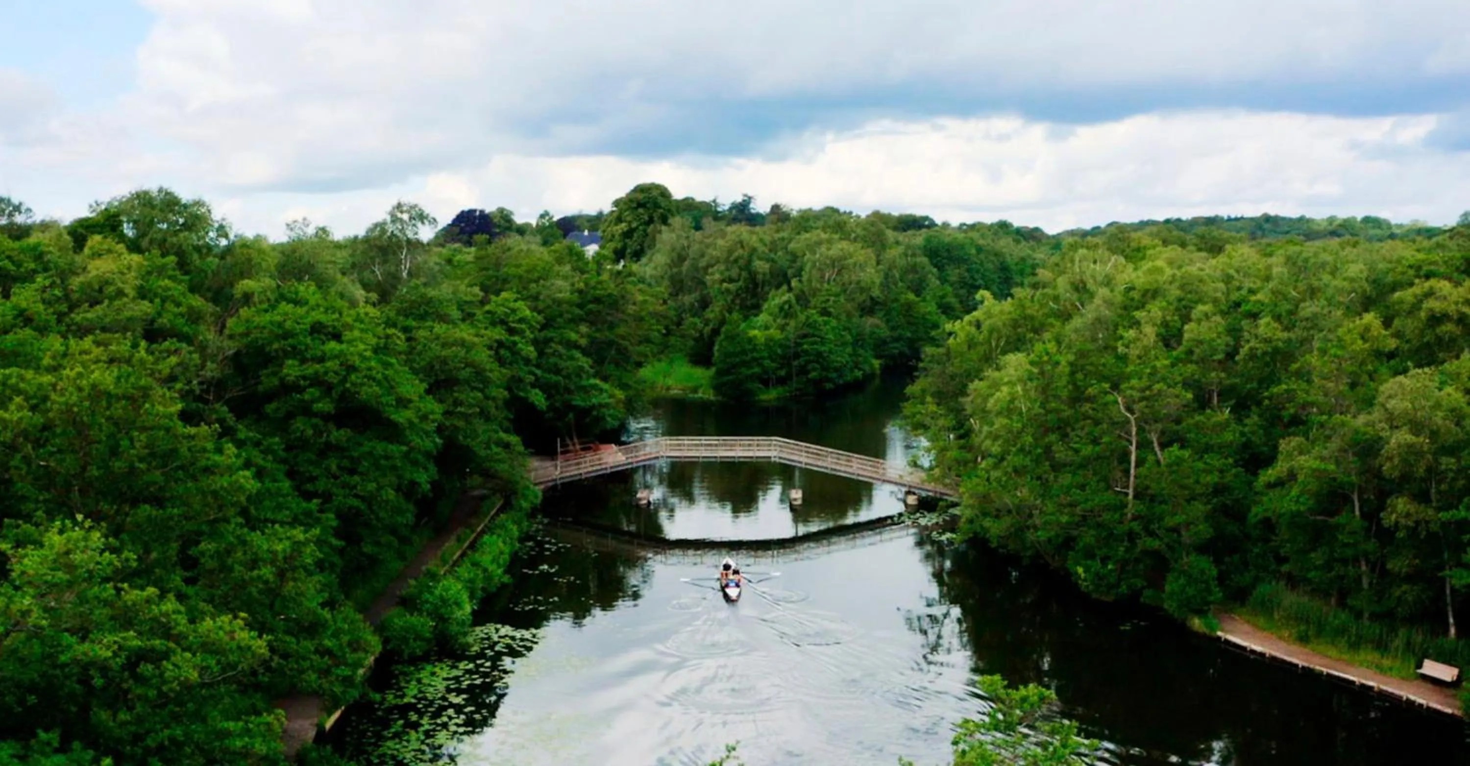 Natural landscape in The Forest apartments by Daniel&Jacob's